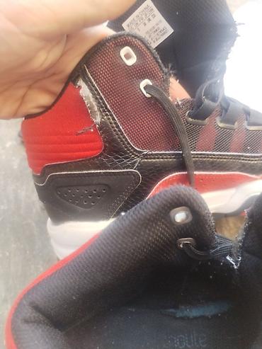 all star patike duboke: Adidas patike za dečake, br. 38 (US 5.5 / UK 5 / JP 240 / CHN 235) — 5