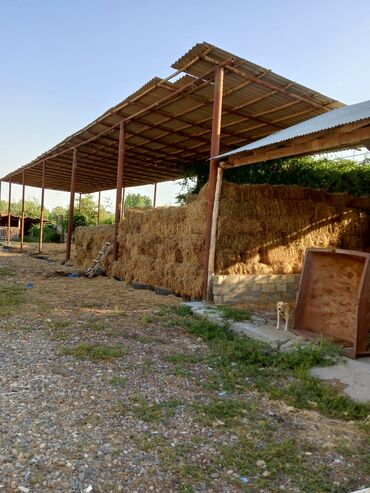 Сантехника: Fermer təsərrüfatı üçün geniş, açıq tipli metal konstruksiyalı dam. Bu
