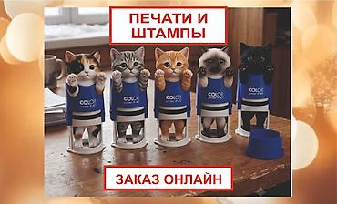 штампы 4100: Гравировка, Лазерная печать, | Пакеты — 1
