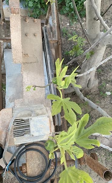 Alətlər: Sənaye tipli daş/kərpic kəsən stasionar dəzgah - Güclü elektrik — 6