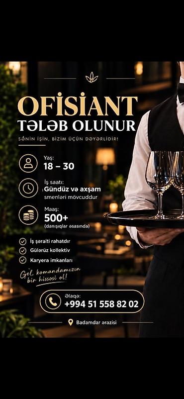 ofsiant iş elanları: Ofisiant tələb olunur, Aylıq ödəniş, 18-29 yaş — 1