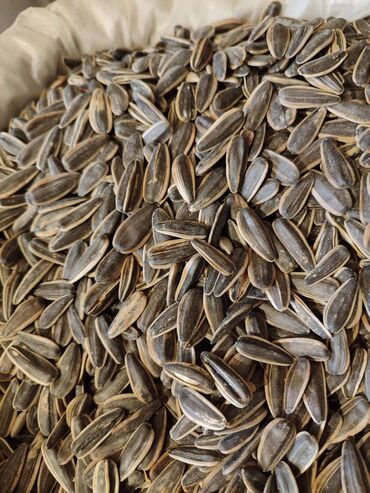 Digər qida məhsulları: Qovrulmuş və çiy,ağ və qara semiçkalar çəki ilə satılır. Sifariş -da lalafo.az — 7 Digər qida məhsulları: Qovrulmuş və çiy,ağ və qara semiçkalar çəki ilə satılır. Sifariş — 7