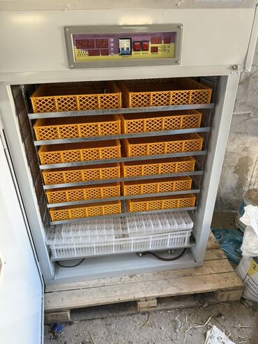Yağ çəkən aparatlar: 1100 yumurta, Türkiyə, Bütün növ quşlaq üçün