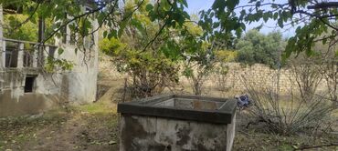 Bağ evlərinin satışı: Bağ sahəsi və köhnə tikili - Geniş, yaşıllıqla əhatələnmiş bağ — 4