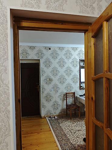 kapi: Şüşəli taxta otaq qapısı - Material: təbii ağac (şam ağacı teksturası — 3