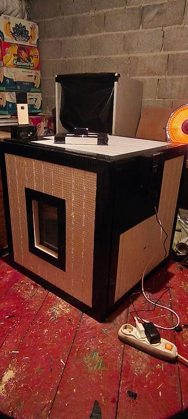 Куры, петухи: Продаю | Инкубационные яйца — 7