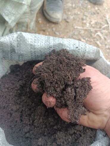 Toxumlar: Torflarin satişi balaken ekolay kkokavit 250litrlik xaricden gelen — 14