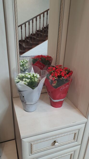 тарелочка для украшений: Каланхоэ