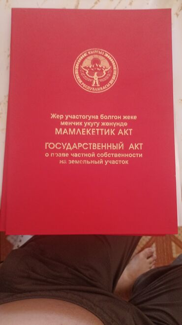 дом шопок: 15 соток, Курулуш, Кызыл китеп