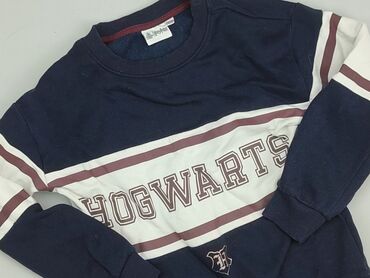 golf kolorowy: Bluza, Harry Potter, 10 lat, 134-140 cm, stan - Dobry