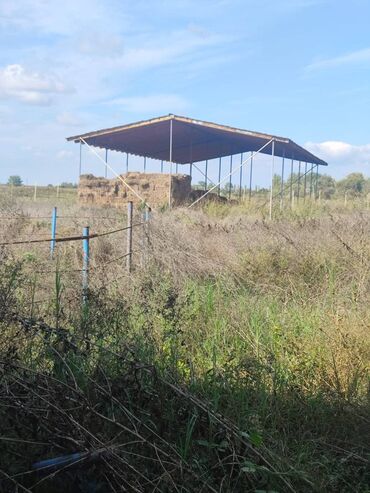 Kirayə torpaq sahələri: 8 sot Kənd təsərrüfatı — 13