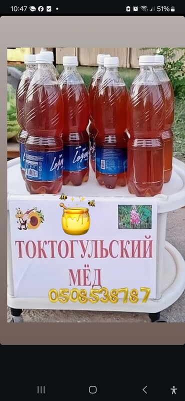 элитный горячий шоколад: Токтогульский мёд. - Натуральный горный мёд из региона Токтогул