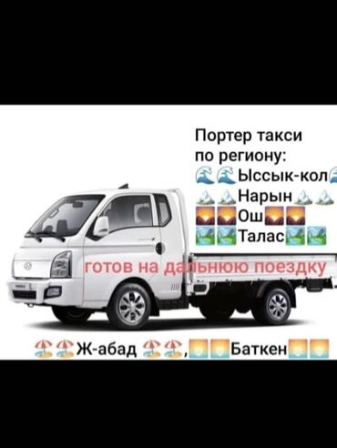 йоркширский терьер бишкек: Портер такси портер такси портер такси портер такси портер такси