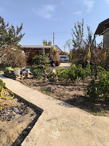 Продажа коттеджей и домов: Продаётся жилой дом с участком и садом. - Одноэтажный дом: светлая — 4