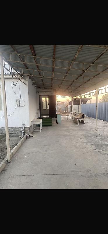 Долгосрочная аренда домов: 50 м², 1 комната — 11
