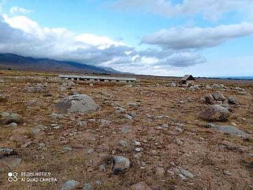 Продажа участков: 30 соток, Красная книга — 15