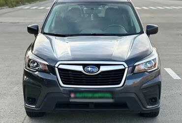 лямбда зонд субару легаси: Subaru Forester: 2019 г., 2.5 л, Вариатор, Бензин, Кроссовер