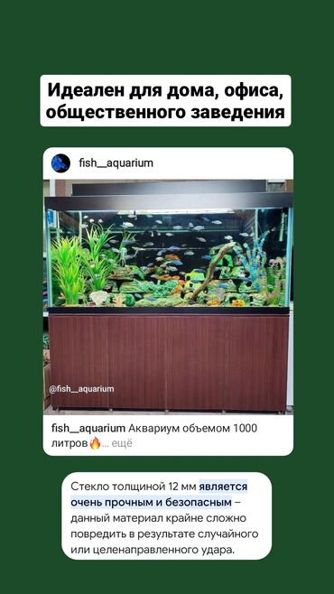 купить аквариум в бишкеке: Аквариум объемом 1000 литров Полный комплект, в него входит