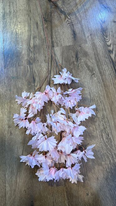 Digər ev dekoru: 7 man baslayan qiymetler Depodan bir basa satis Mehsulkari olkeye — 7