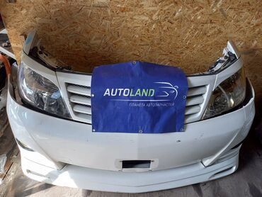 autoland: Нускат Toyota Alphard - Нускат морда .цвет белый. В наличии есть