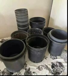 Bitkilər üçün dibçəklər: Gül və dibçək qabları satılır.Plastik,kauçuk materyaldır.Sayı 50 -da lalafo.az — 6 Bitkilər üçün dibçəklər: Gül və dibçək qabları satılır.Plastik,kauçuk materyaldır.Sayı 50 — 6