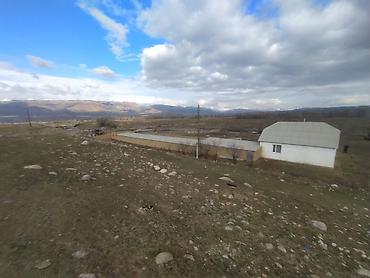 Продажа участков: 20 соток, Для бизнеса, Красная книга at lalafo.kg — 11 Продажа участков: 20 соток, Для бизнеса, Красная книга — 11