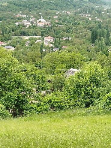 ismayilli torpaq: 5 sot, Tikinti, Mülkiyyətçi, Kupça (Çıxarış) — 7