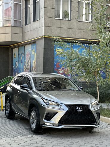 lexus hybrid: Lexus NX: 2017 г., 2.5 л, Вариатор, Гибрид, Кроссовер