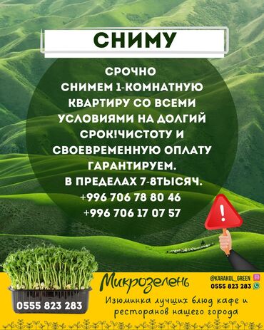 дом сниму: 2 комнаты, 40 м²