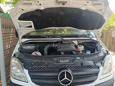 tir: Легкий грузовик, Mercedes-Benz, Стандарт, Новый — 4