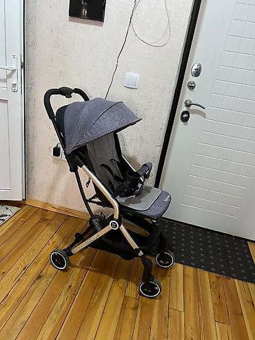 Ela yungul kaleska camadan kımı baglanr uzanglı otraglı olur ela
