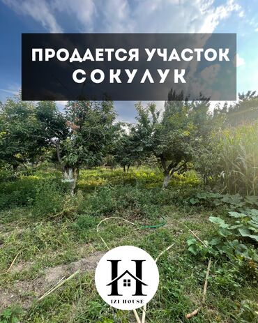 участок вдоль реки: 🏡 Продаётся участок в Сокулуке ✅ Площадь участка: 10 соток ✅