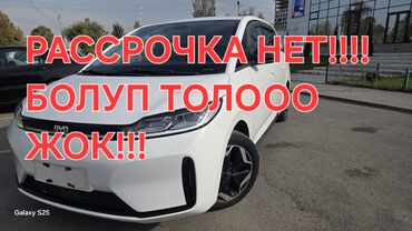 BYD: BYD : 2021 г., Автомат, Электромобиль, Универсал — 13