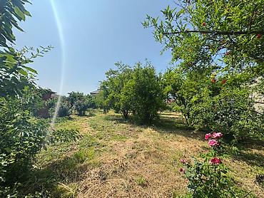 midada ev satilir: 12 sot, Tikinti, Mülkiyyətçi, Kupça (Çıxarış) — 3