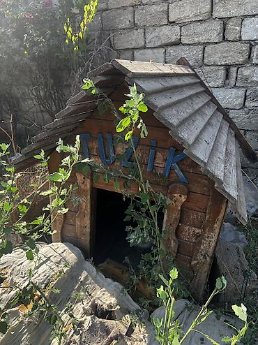 it yuvasi satilir: Salamm itlər çün yuvlar kimm istsə yazsınn 3 dənədi 230 mamatdıı ünvan — 6