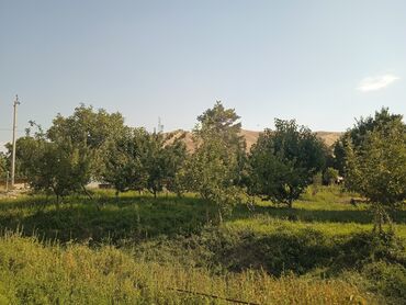 Продажа участков: 20 соток, Для сельского хозяйства — 2