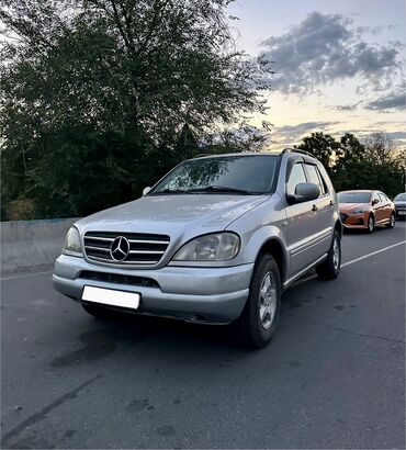 Mercedes-Benz: Mercedes-Benz M-Class: 2000 г., 3.2 л, Типтроник, Газ, Внедорожник