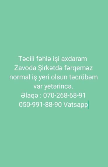 sumqayit iş _elanlari 2024: Təcili iş Axdarıram
