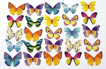 seed papilio: Бабочки цветные — 55 штук 🦋 Цветные разноцветные бабочки для украшения — 2