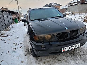 BMW: BMW X5: 2002 г., 3 л, Автомат, Дизель, Внедорожник — 1