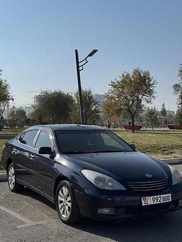 Lexus ES: 2004 г., 3 л, Автомат, Газ, Седан