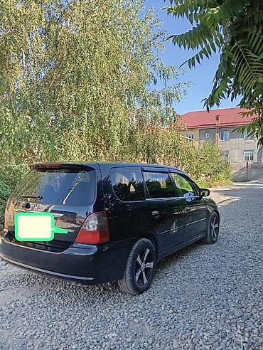 odyssey absolute: Honda Odyssey: 2003 г., 3 л, Автомат, Газ, Минивэн — 9