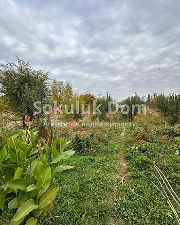 rich home: 2 комнаты, 55 м², 9 соток, Сокулук, Агентство недвижимости — 4
