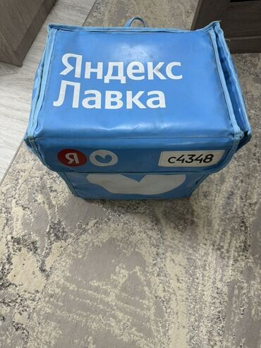 тюльпаны бишкек цена: Кап, Жаңы