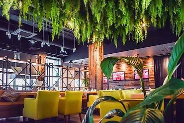zeleniy cay: Green House Azerbaijan. Dekor interyer Kafe×restoranlar üçün — 10