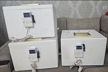 İnkubatorlar: 50 yumurta, Azərbaycan, Bütün növ quşlar üçün, Zəmanət ilə, Azərbaycan dilində təlimat — 4
