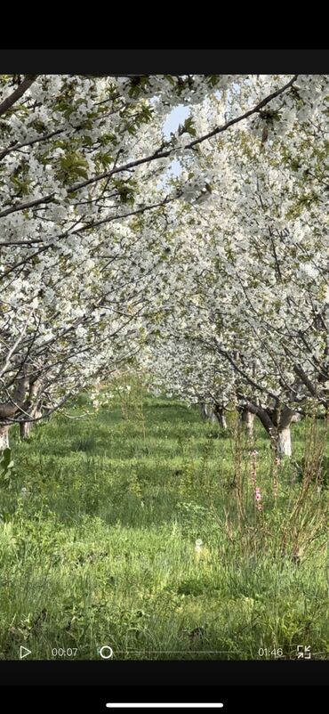 Продажа участков: 1200 соток, Для бизнеса