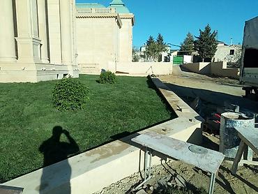 Toxumlar: Qazon yüksək keyfiyyət münasib qiymətə enni yarpaq danimarka toxumu — 9