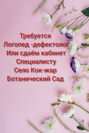 удаленная работа набор текста бишкек: Требуется логопед-дефектолог. Возможна аренда кабинета для