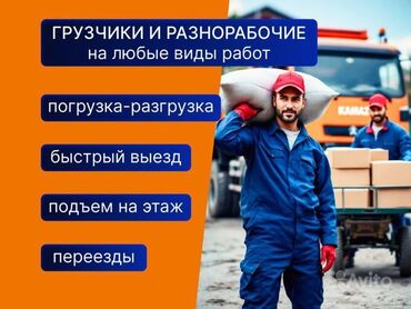 вакансии грузчики: Грузчики,Грушики,Переезд,Разгрузка фур,Подъём стройматериалов,Подъем